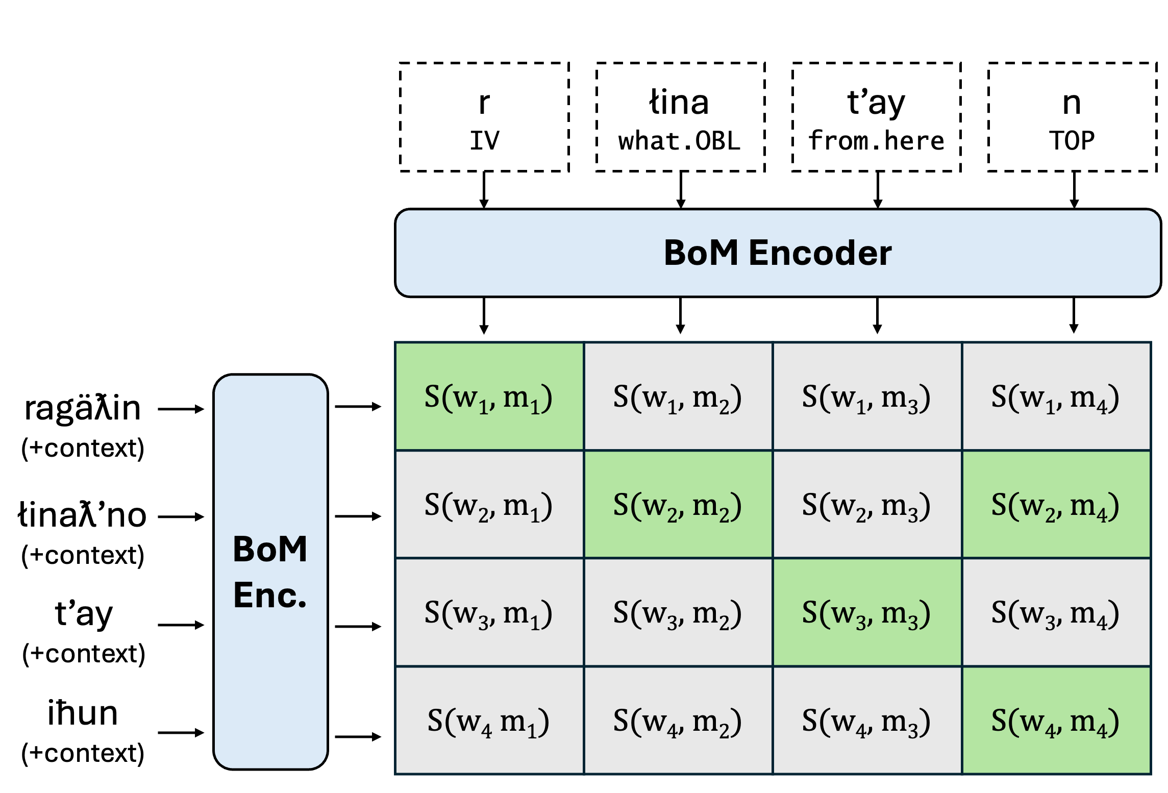 BoM Encoder diagram